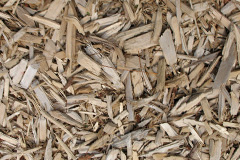biomass boilers Shortheath
